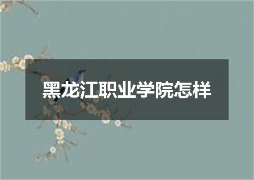 黑龙江职业学院怎样