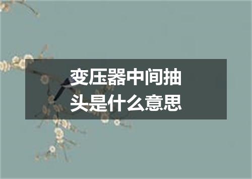 变压器中间抽头是什么意思
