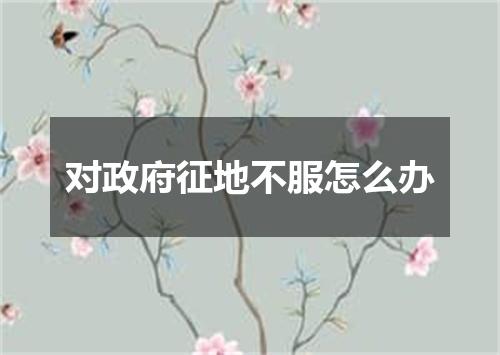 对政府征地不服怎么办