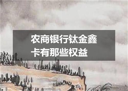 农商银行钛金鑫卡有那些权益