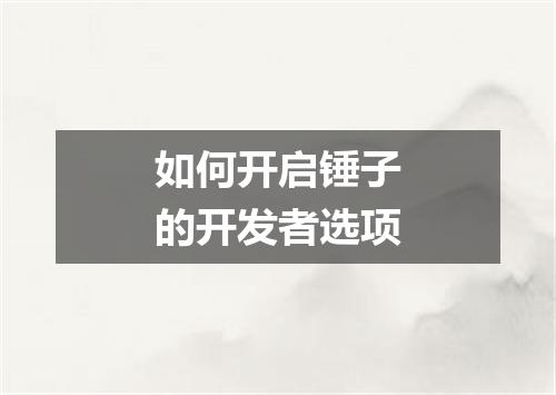 如何开启锤子的开发者选项