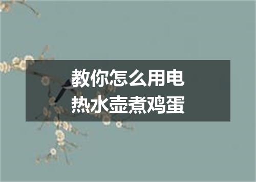 教你怎么用电热水壶煮鸡蛋