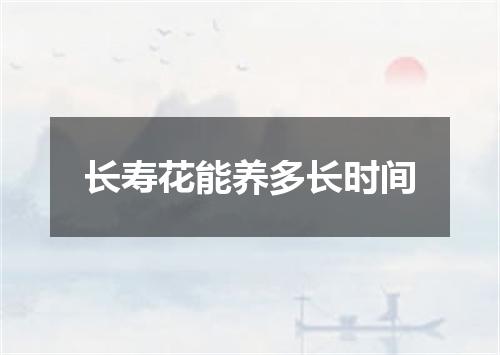 长寿花能养多长时间