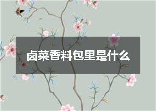 卤菜香料包里是什么