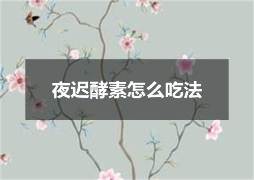 夜迟酵素怎么吃法