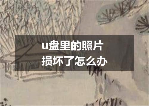 u盘里的照片损坏了怎么办