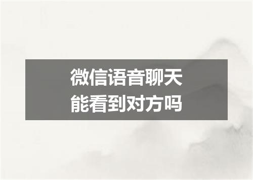 微信语音聊天能看到对方吗