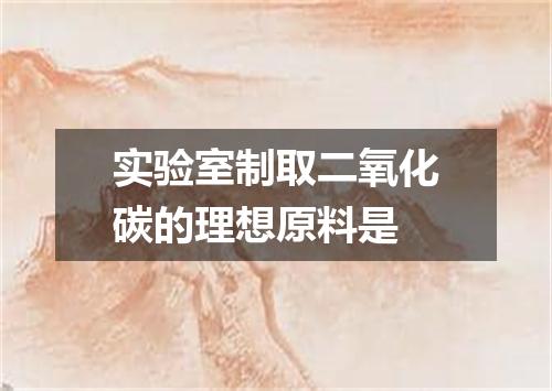 实验室制取二氧化碳的理想原料是