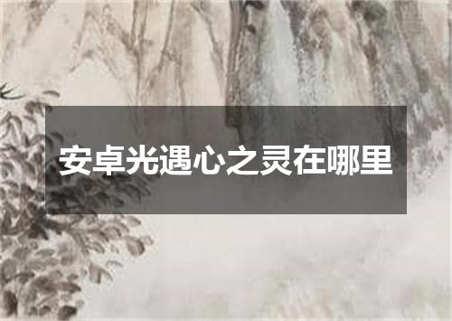 安卓光遇心之灵在哪里