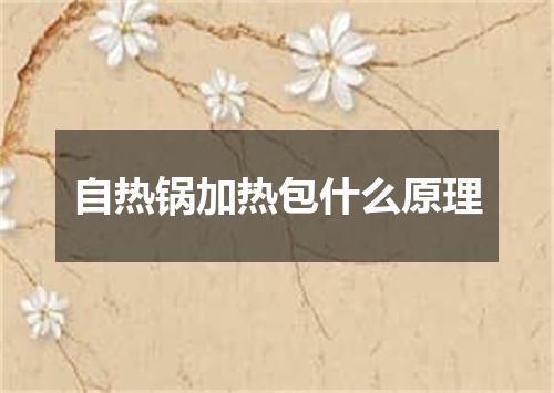 自热锅加热包什么原理