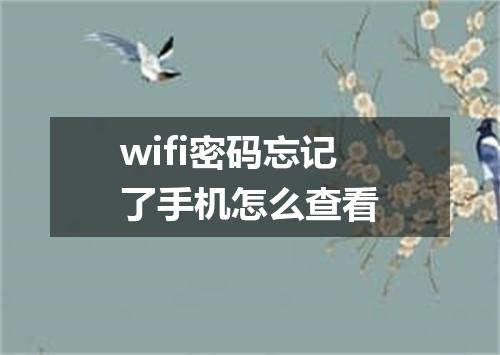 wifi密码忘记了手机怎么查看