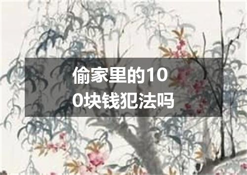 偷家里的100块钱犯法吗