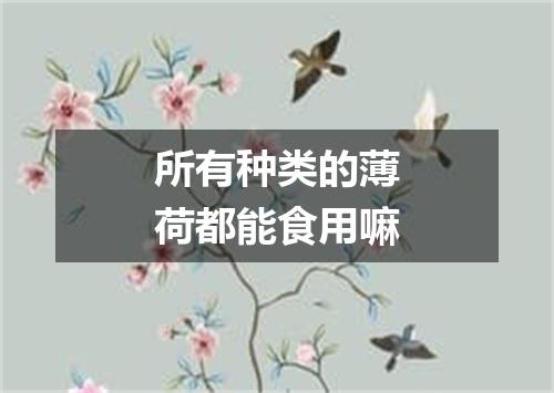 所有种类的薄荷都能食用嘛