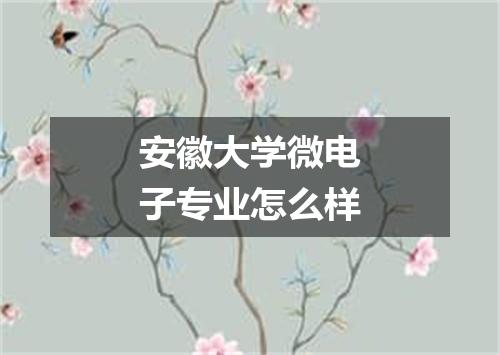 安徽大学微电子专业怎么样