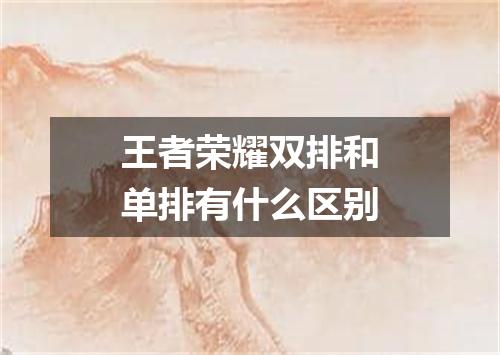王者荣耀双排和单排有什么区别