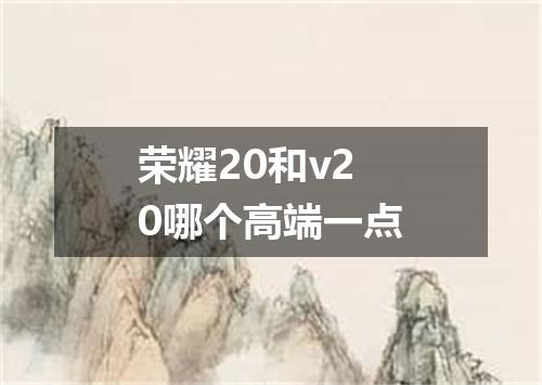 荣耀20和v20哪个高端一点