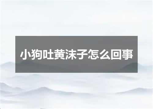 小狗吐黄沫子怎么回事