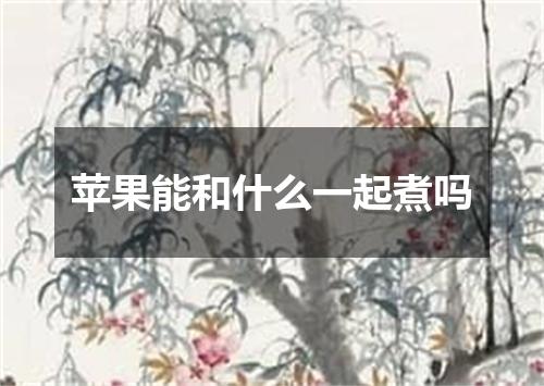 苹果能和什么一起煮吗