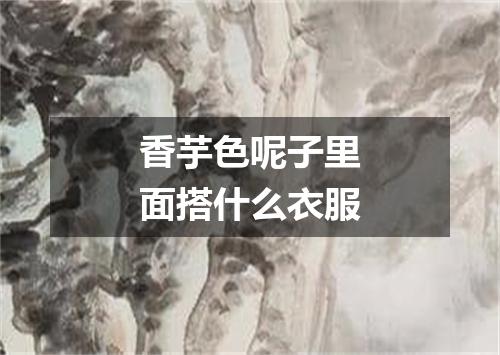 香芋色呢子里面搭什么衣服