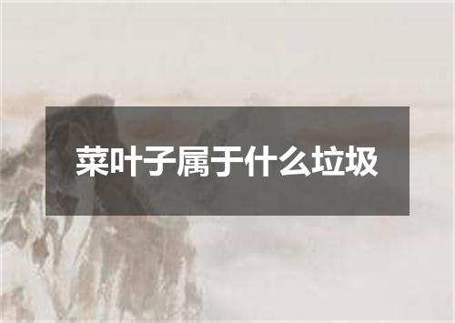 菜叶子属于什么垃圾