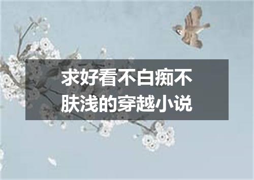 求好看不白痴不肤浅的穿越小说
