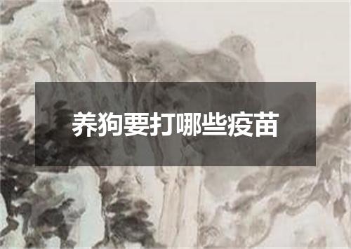 养狗要打哪些疫苗