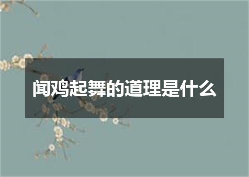 闻鸡起舞的道理是什么