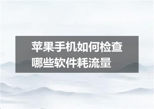 苹果手机如何检查哪些软件耗流量