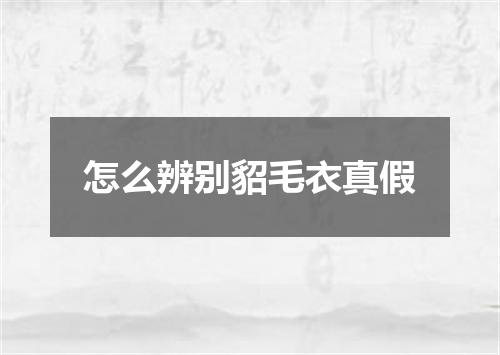 怎么辨别貂毛衣真假