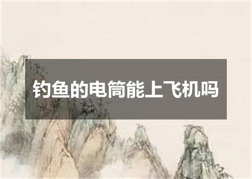 钓鱼的电筒能上飞机吗