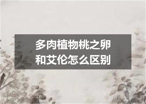 多肉植物桃之卵和艾伦怎么区别