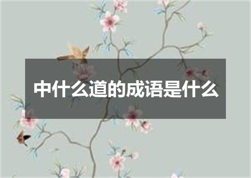 中什么道的成语是什么