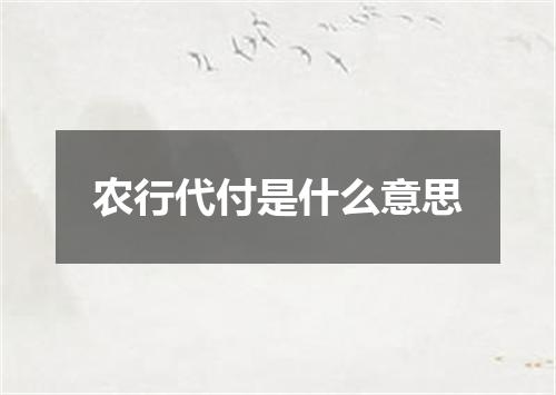 农行代付是什么意思