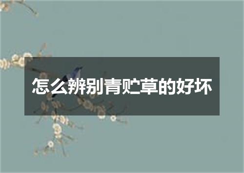 怎么辨别青贮草的好坏