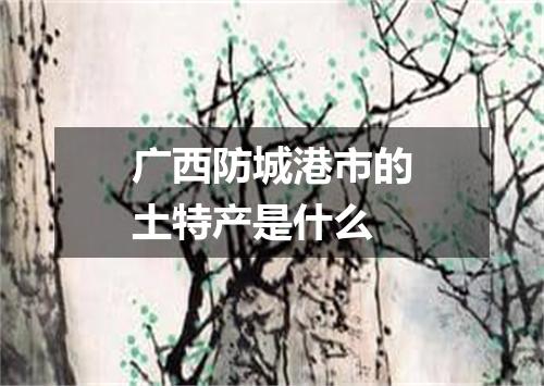 广西防城港市的土特产是什么