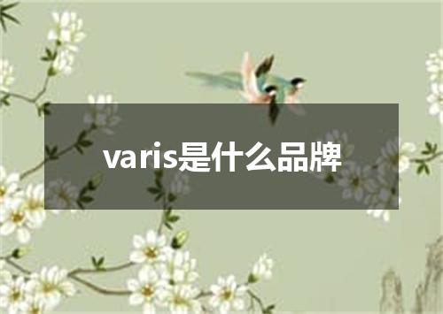 varis是什么品牌