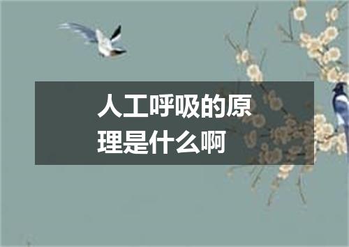 人工呼吸的原理是什么啊