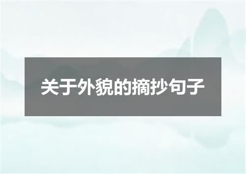 关于外貌的摘抄句子