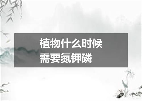 植物什么时候需要氮钾磷