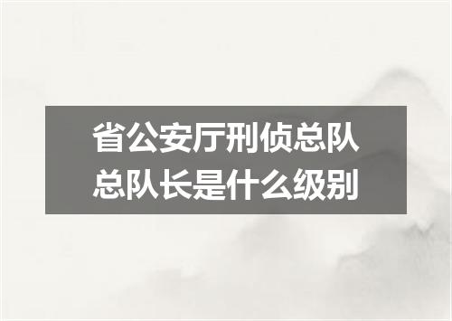 省公安厅刑侦总队总队长是什么级别