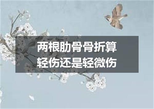 两根肋骨骨折算轻伤还是轻微伤