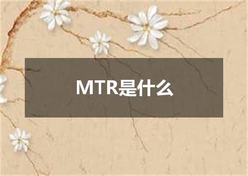 MTR是什么