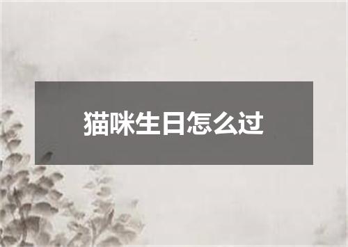 猫咪生日怎么过