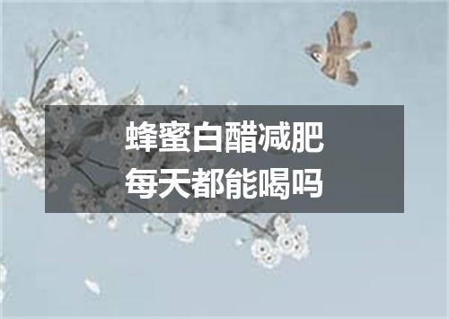 蜂蜜白醋减肥每天都能喝吗