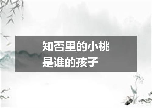 知否里的小桃是谁的孩子