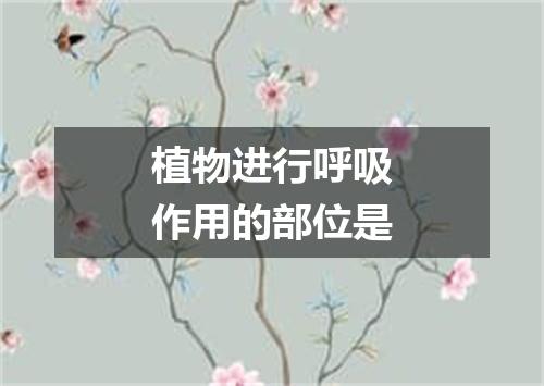 植物进行呼吸作用的部位是