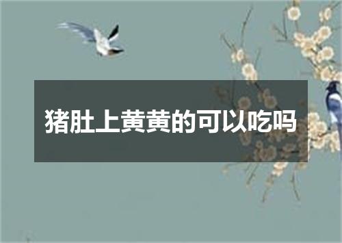 猪肚上黄黄的可以吃吗