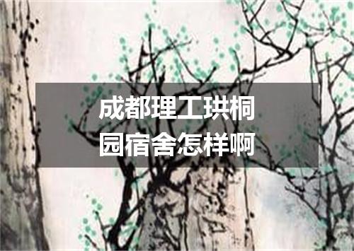 成都理工珙桐园宿舍怎样啊