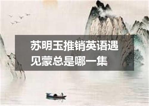 苏明玉推销英语遇见蒙总是哪一集