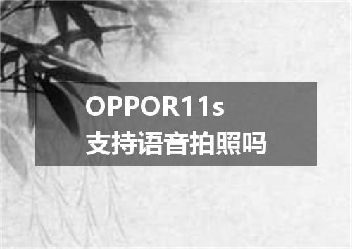 OPPOR11s支持语音拍照吗